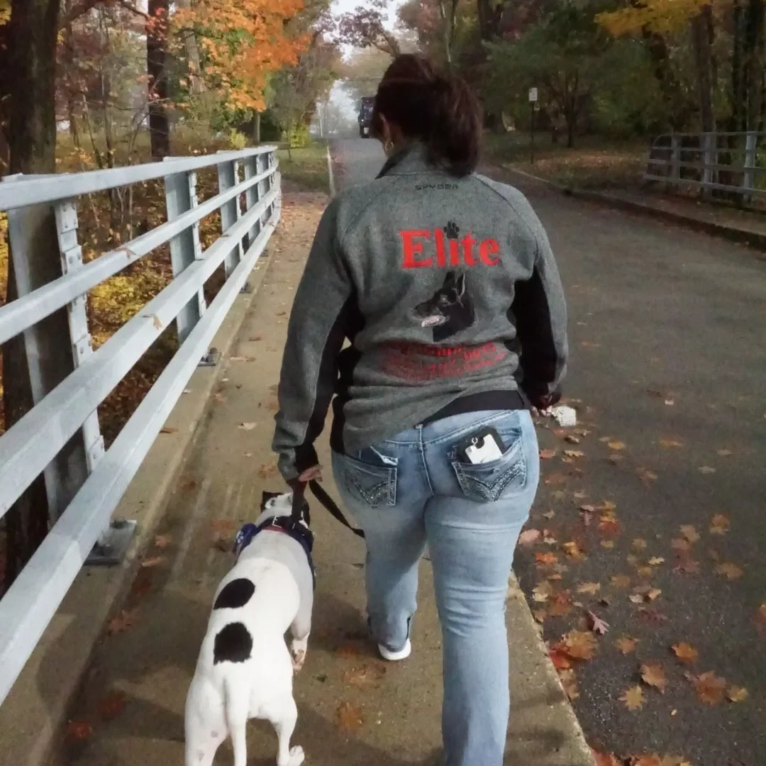 Dog Trainer providing outside leash training walking dog